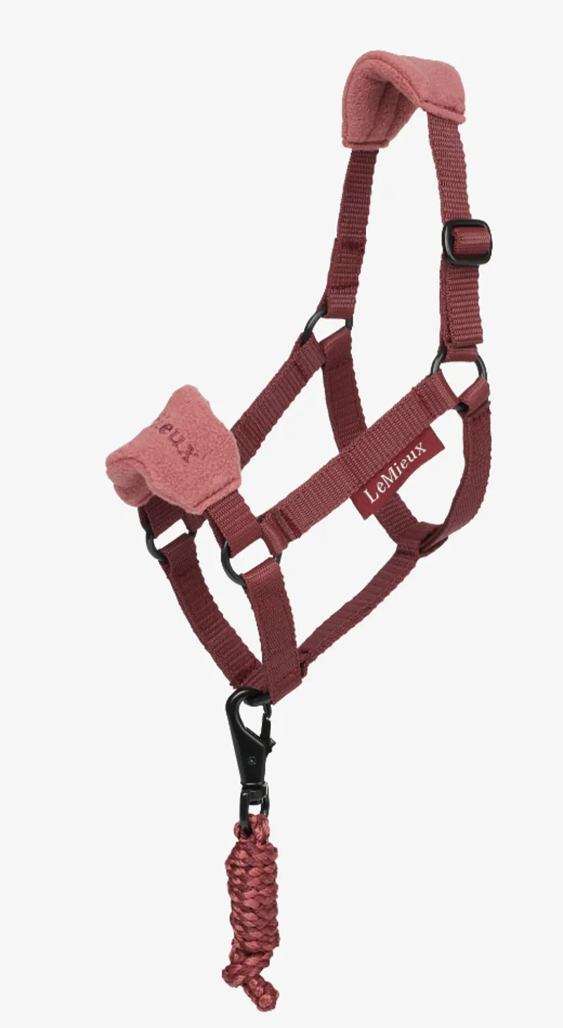 LeMieux Hobby Horse Headcollar Merlot